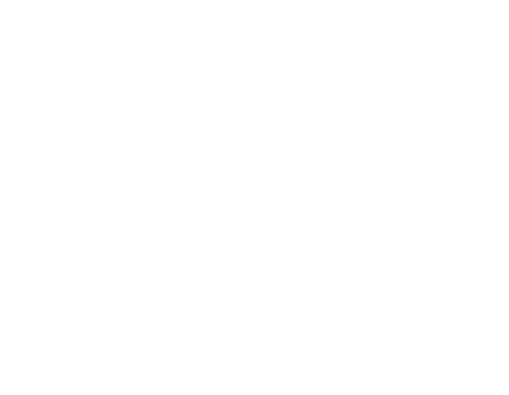 North Line Fox Logo