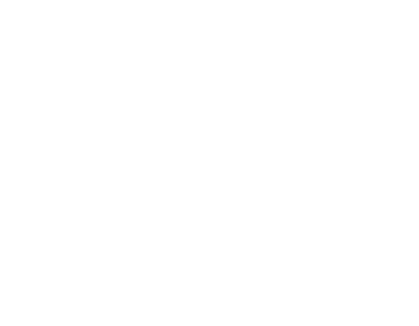 North Line Owl Logo