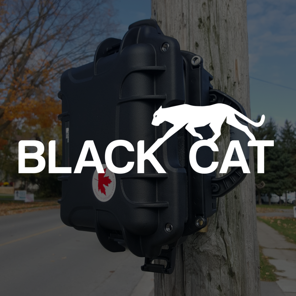 Black Cat Product Logo Image